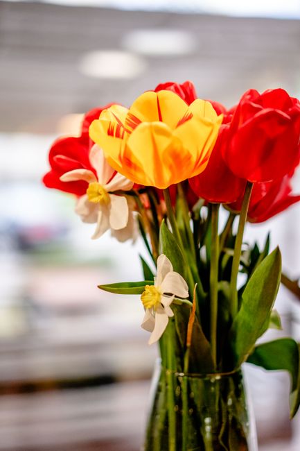 A close-up view of a mixed bouquet of fresh flowers in a clear glass vase, featuring vibrant red, yellow, and white blooms. The arrangement includes red tulips, yellow tulips with red streaks, and del